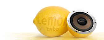 Logo Lemon BVBA